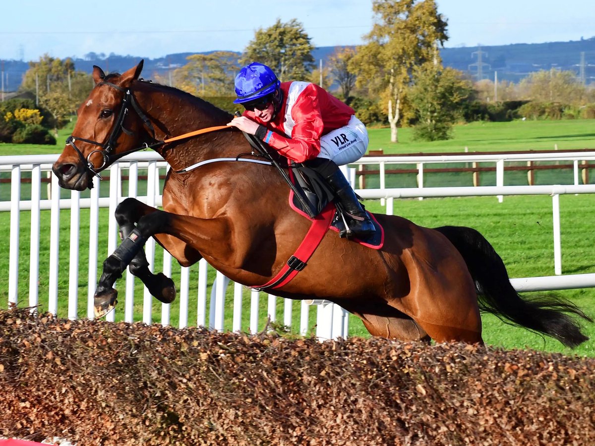 Gavin Lynch tweet media