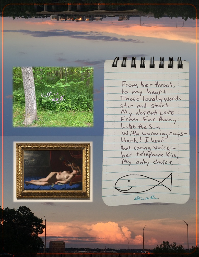 trout Fish tweet media