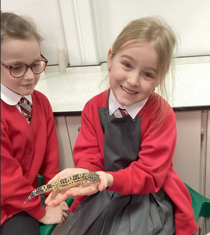 Trinity Academy Akroydon tweet media