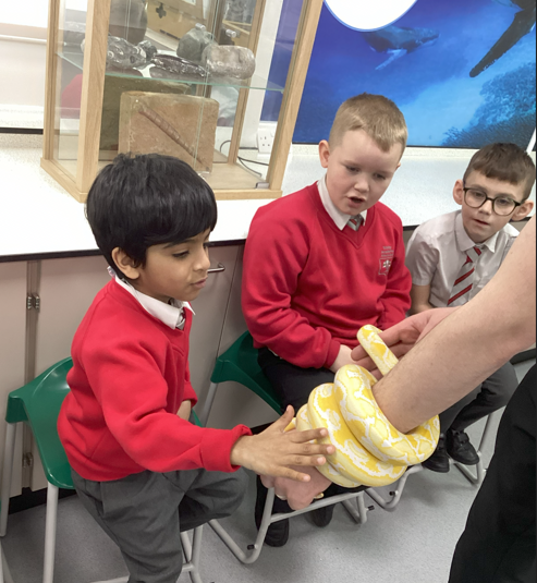 Trinity Academy Akroydon tweet media