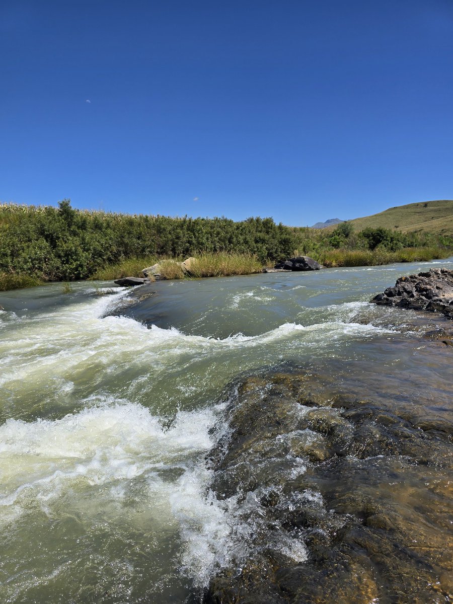 Berghouse&Cottages tweet media