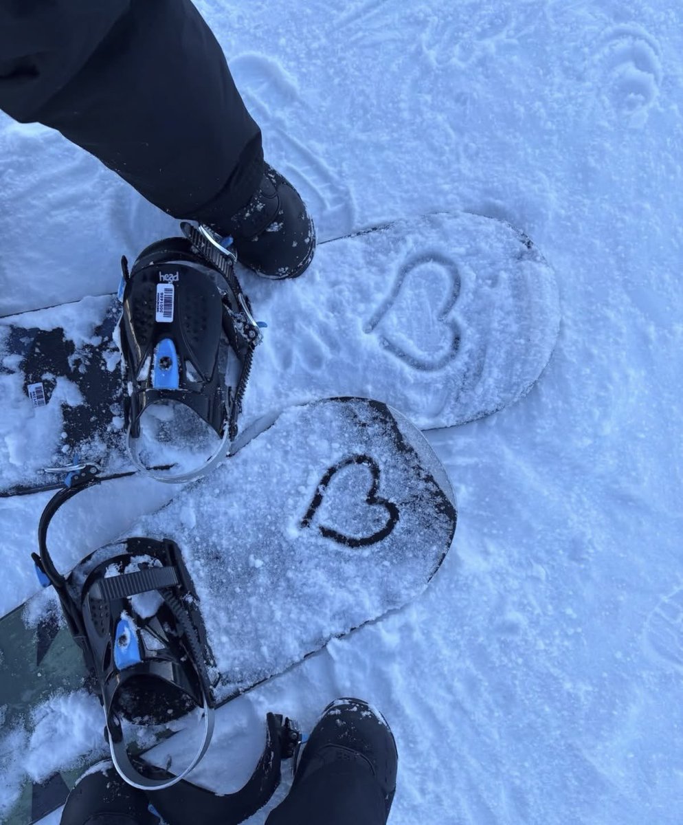 bec 🌻 tweet media