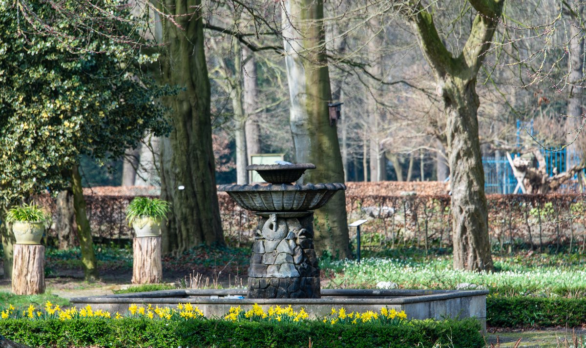 Roger Wellens tweet media