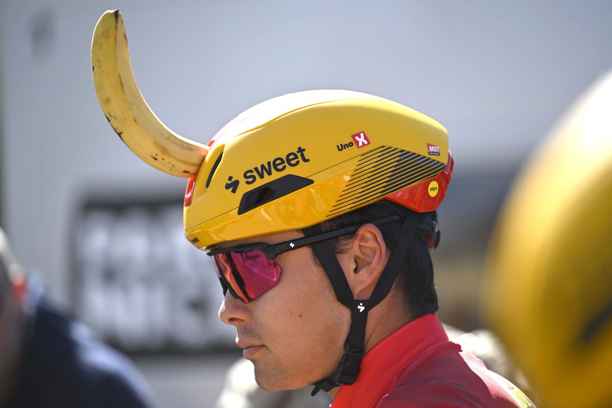 Domestique tweet media