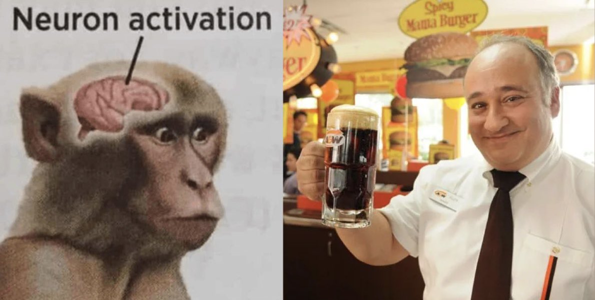 William Wilkinson tweet media