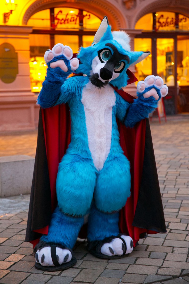 🇧🇷 Malphs tweet media