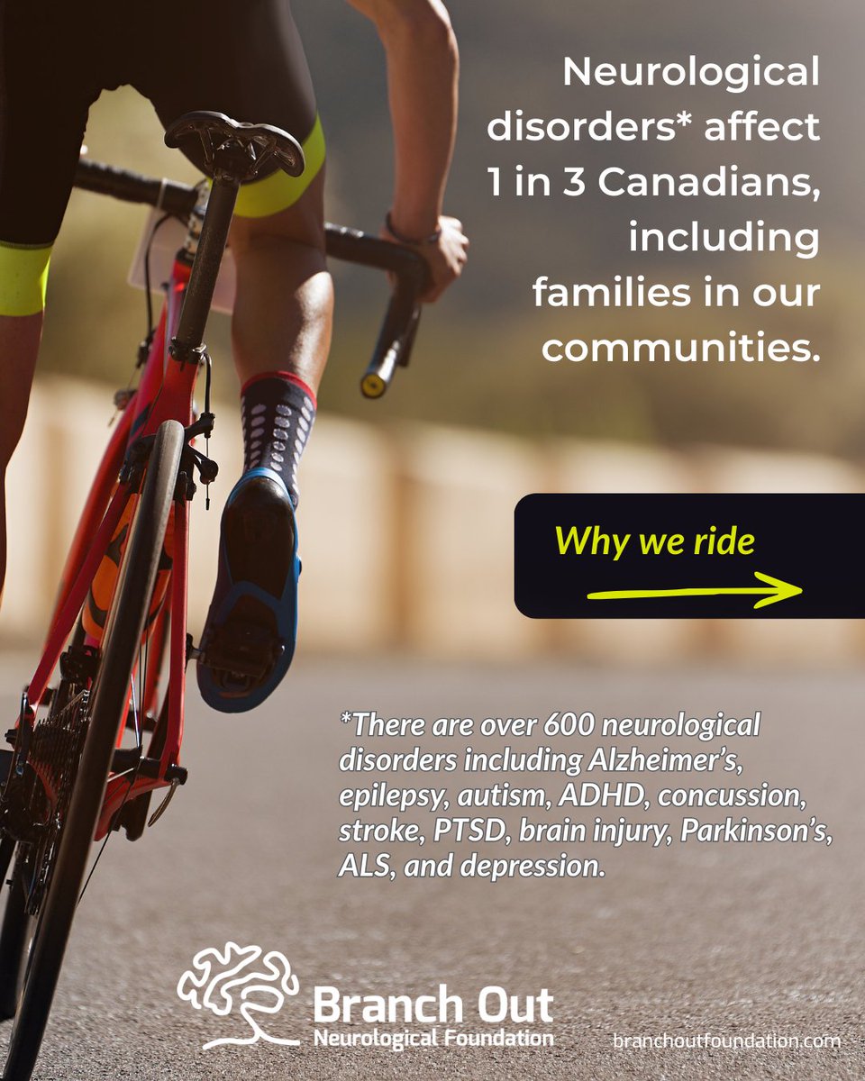 Branch Out Foundation tweet media