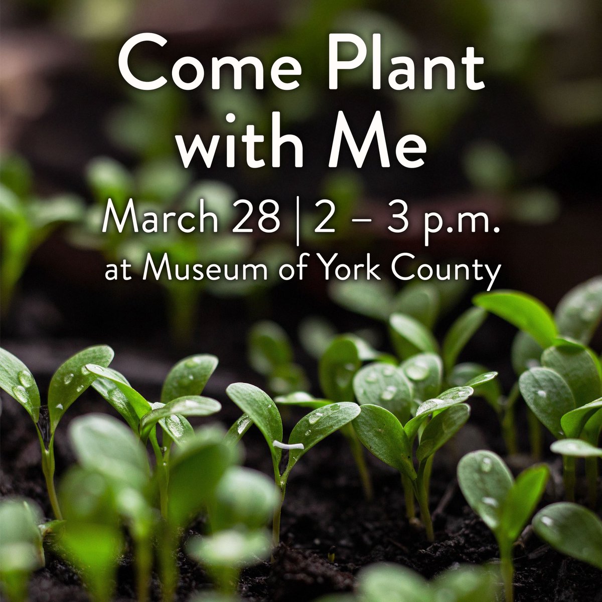 CHMuseums tweet media