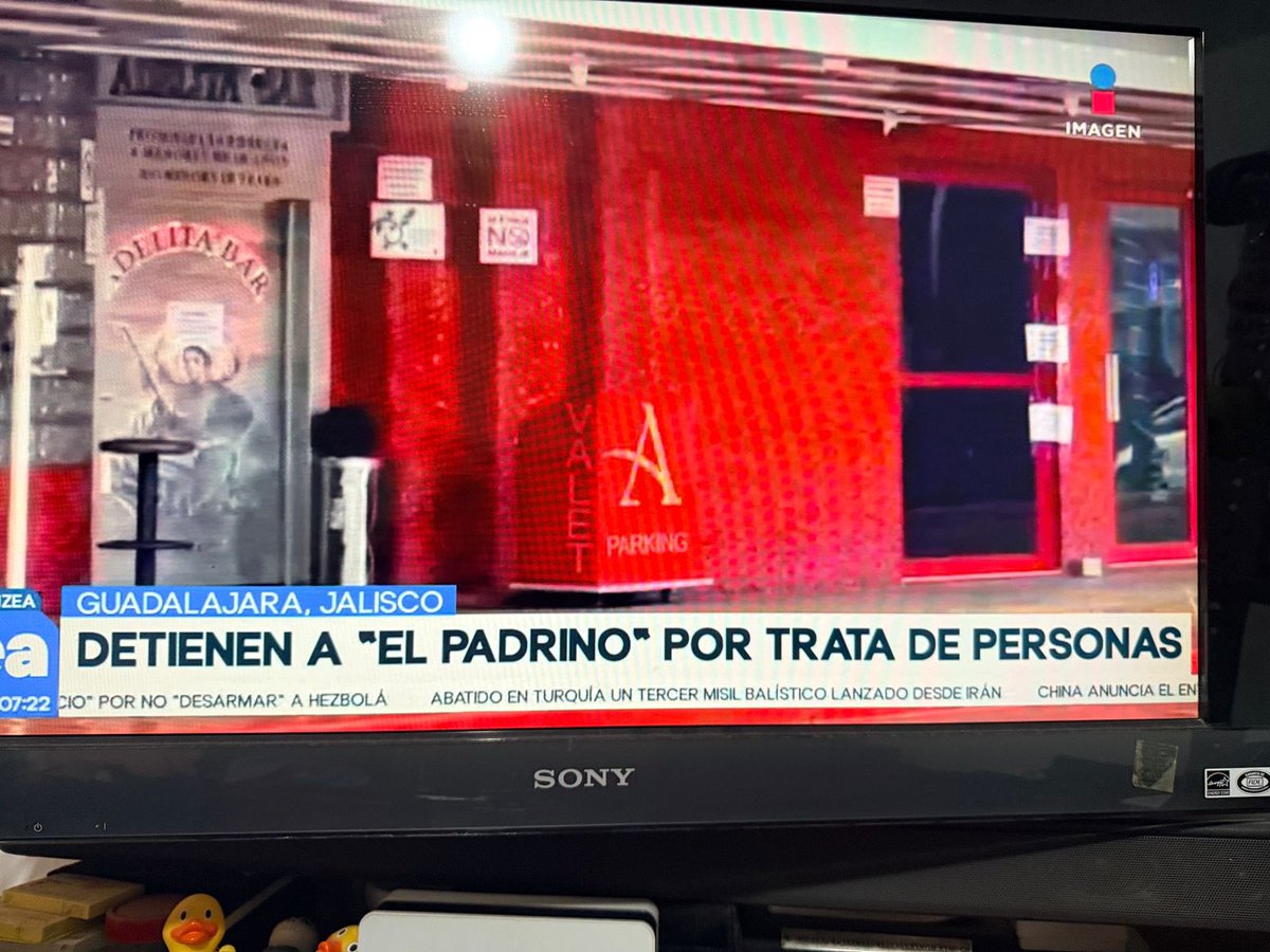 Angel Mastache de H tweet media