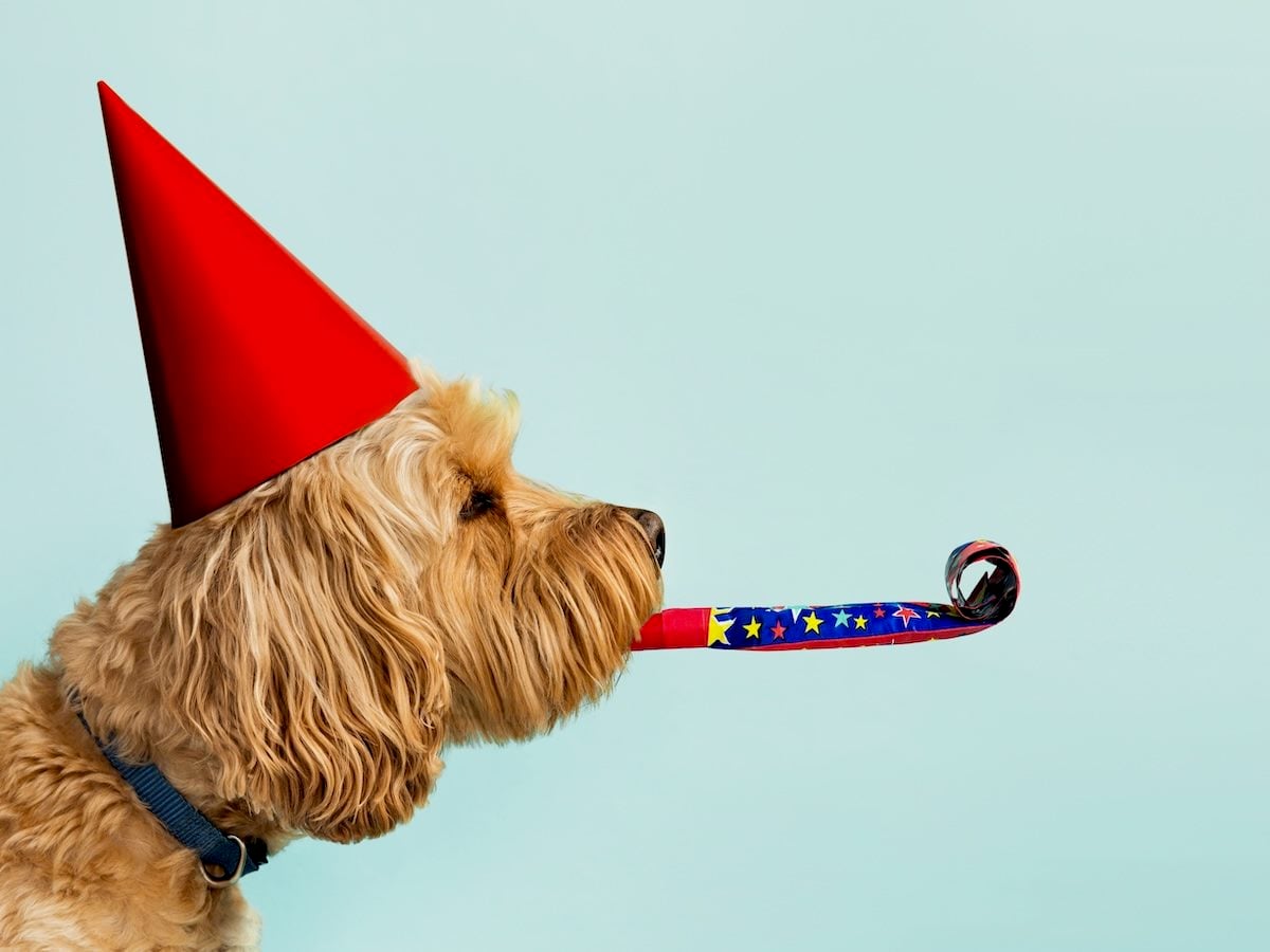 Reworked tweet media