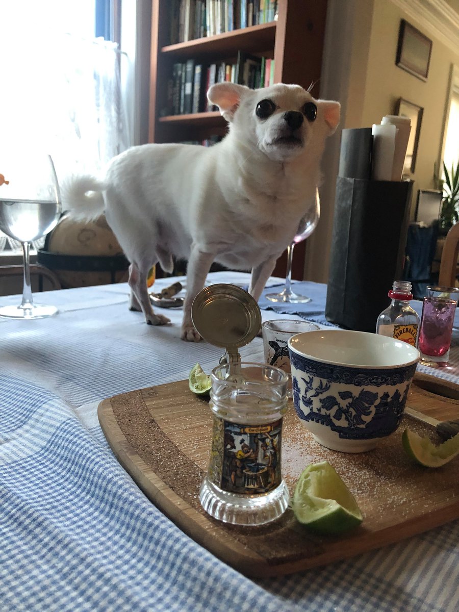 South 85 Journal tweet media