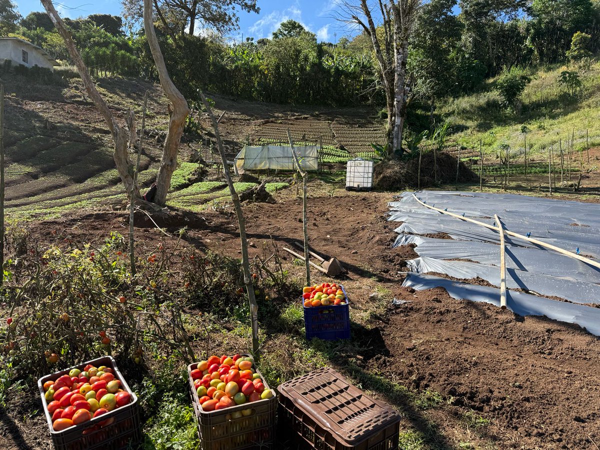 AECID Honduras tweet media