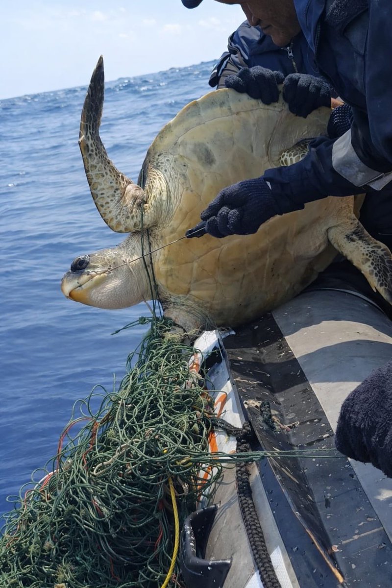 Defence PRO Chennai tweet media