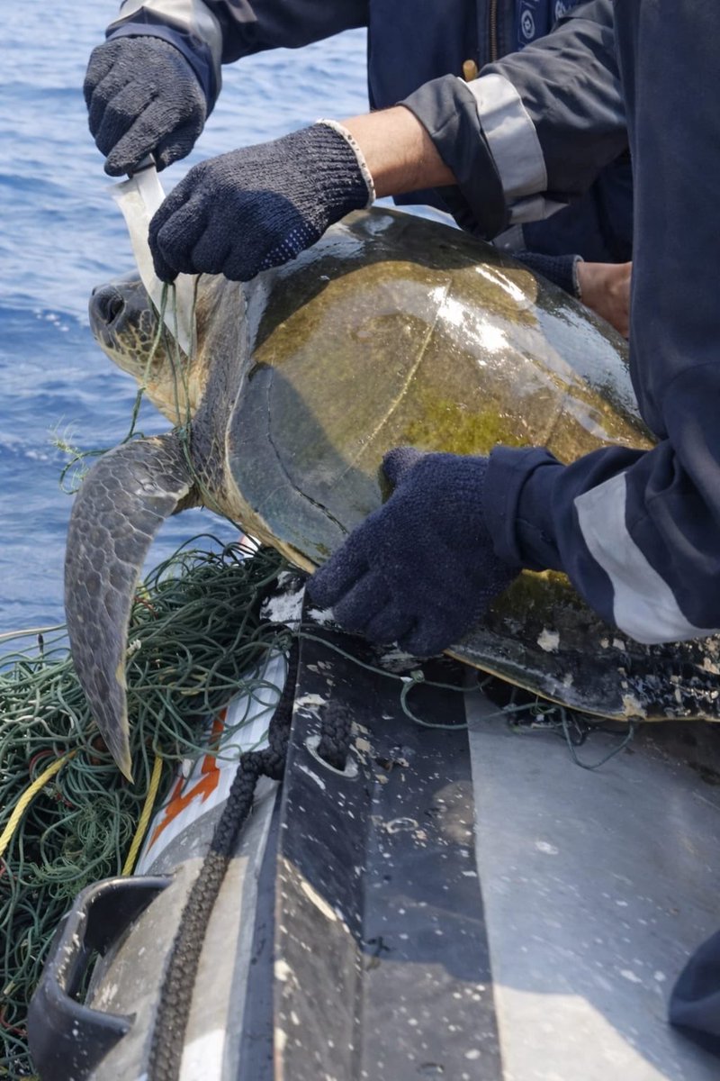 Defence PRO Chennai tweet media