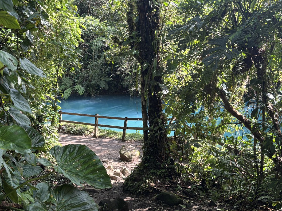 Tim Byatt tweet media