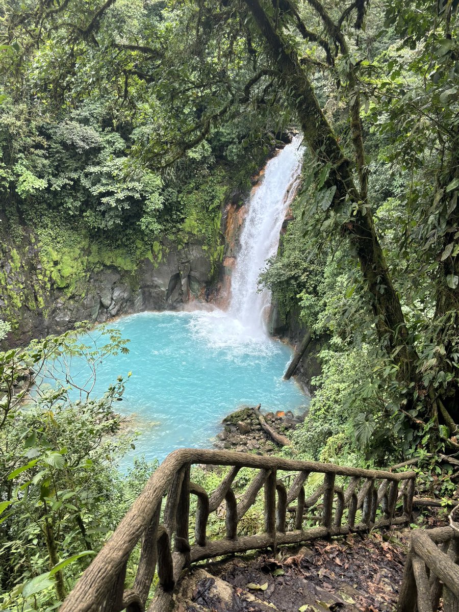 Tim Byatt tweet media