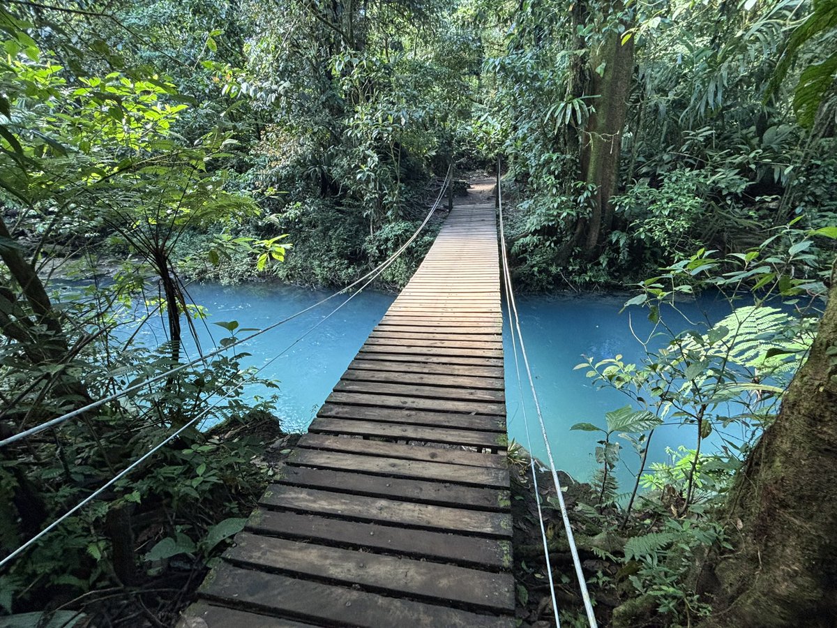 Tim Byatt tweet media