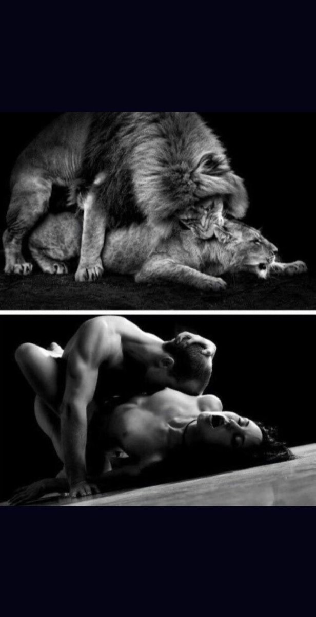 ZohraaLovesXXL tweet media