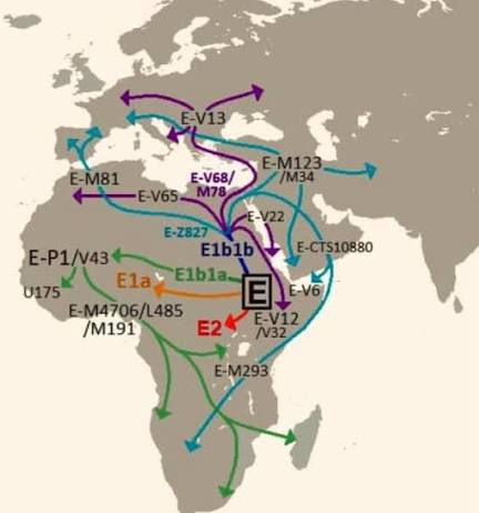 الشُكري 🐪 tweet media