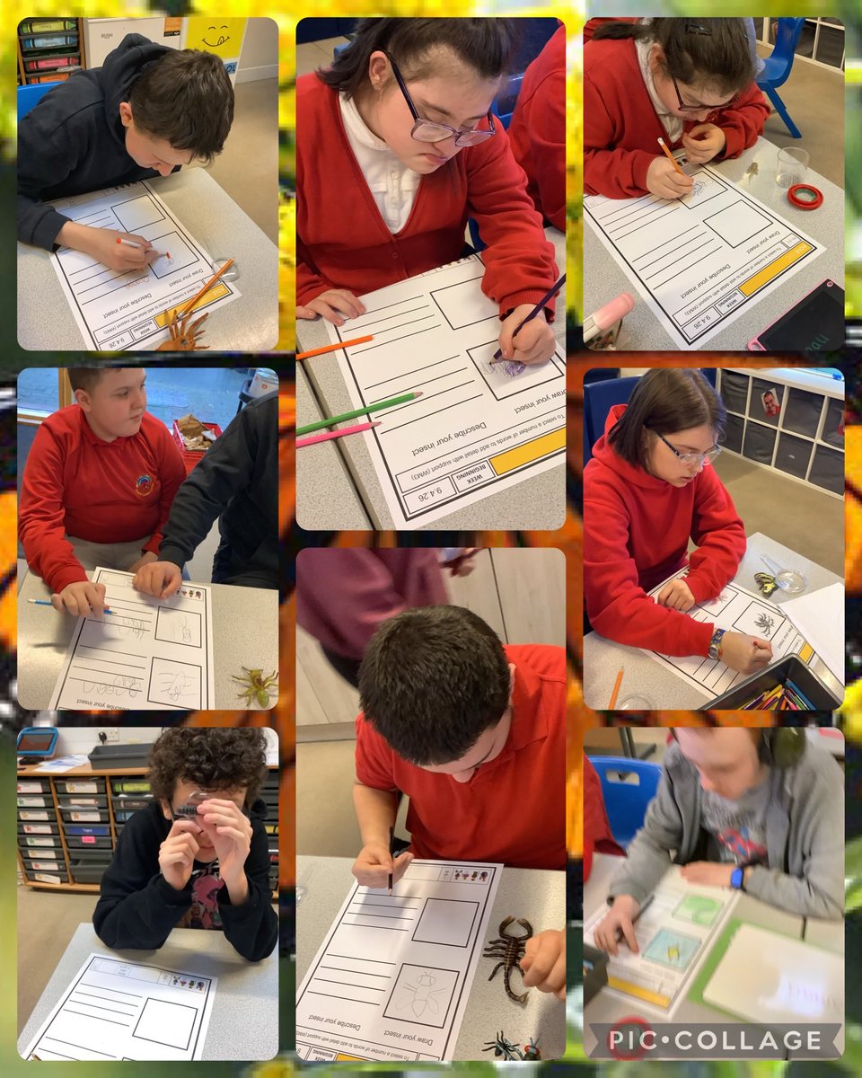 YsgolHenFelin's tweet photo. #YHFclass15 have had an amazing science week! We were able to collect data and make various charts using it! ππ We investigated different creepy crawlies, and were able to describe them πͺ°π We ended our week with a bit of electricity! We had fun creating circuits! ππ‘ #YHFST https://t.co/8DTesVch3o