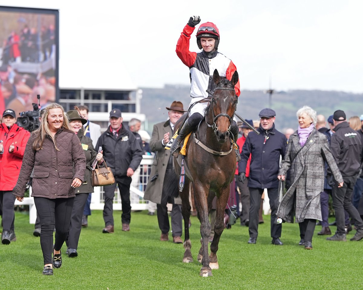 International Thoroughbred tweet media