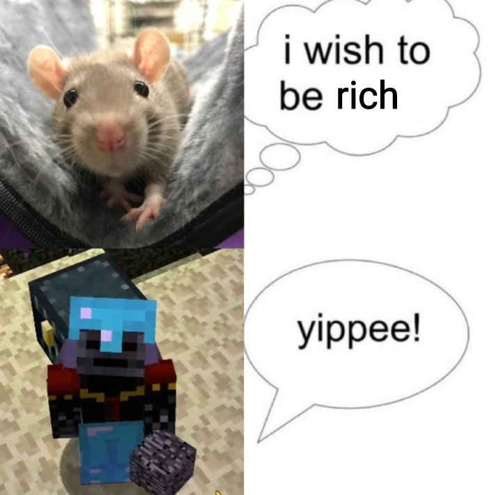 elli 🍉 tweet media