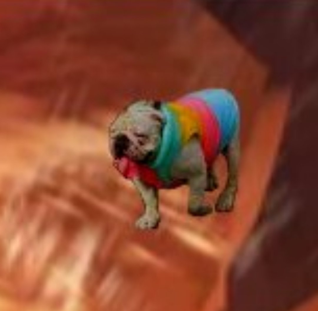 Patycarva's tweet photo. @AntonioDechotta @GordoDan_ Pregunta seria... porque el perrito? https://t.co/HVYgWX9VsB