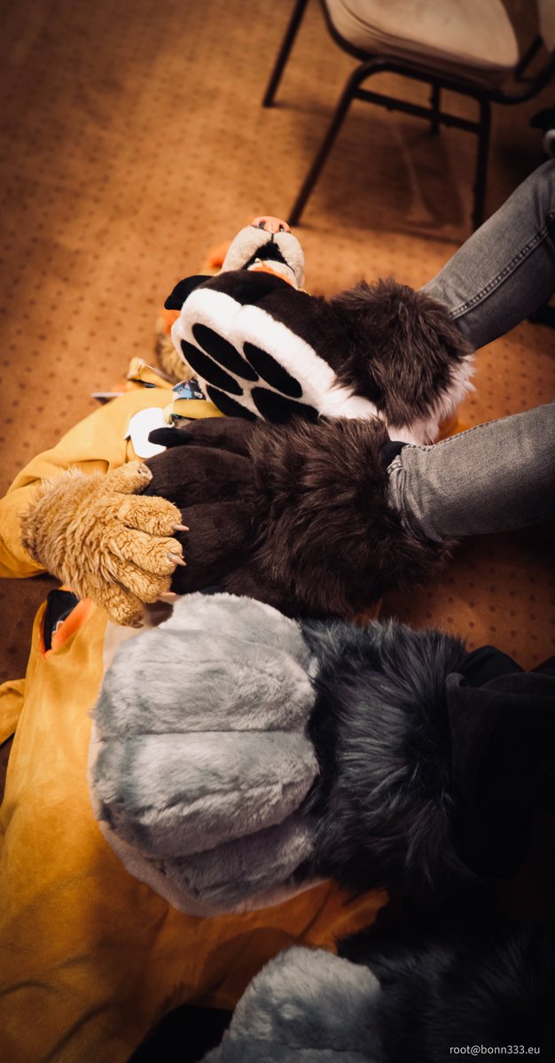 Łapki.
#paws #FursuitFriday