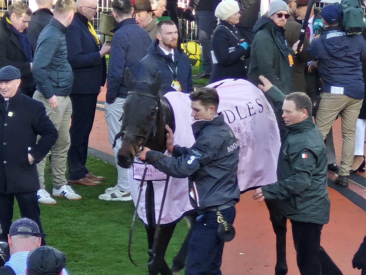 SportsNewsIRELAND tweet media