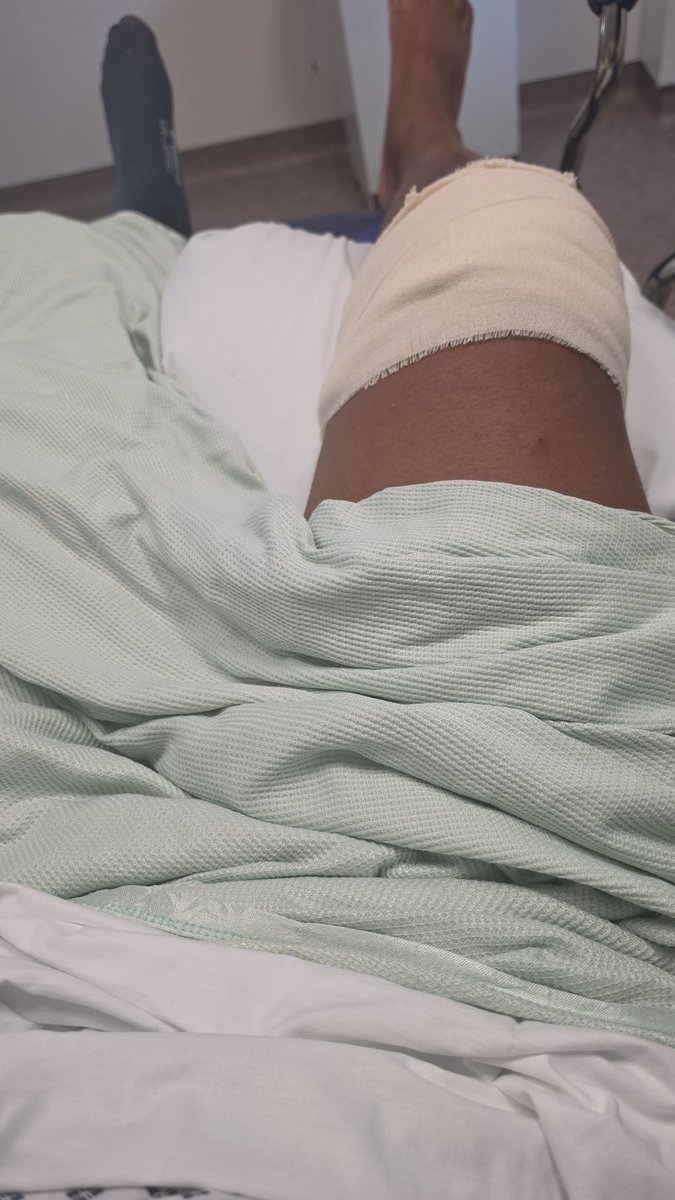 Jordan Payne tweet media