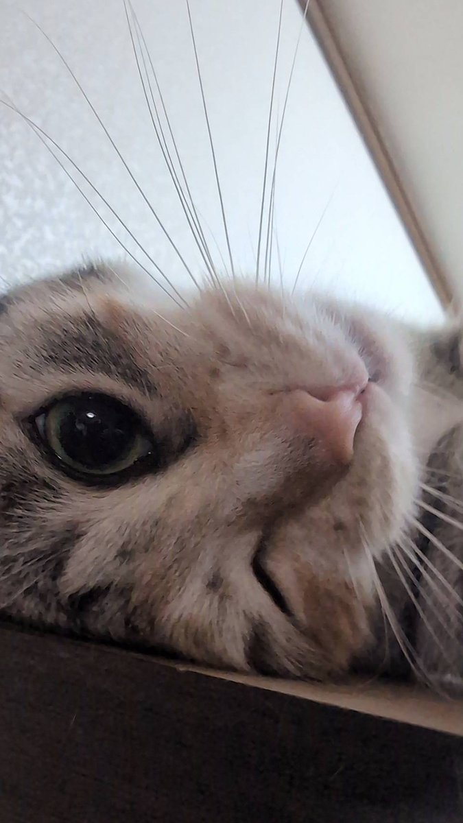 みちゃみさ tweet media