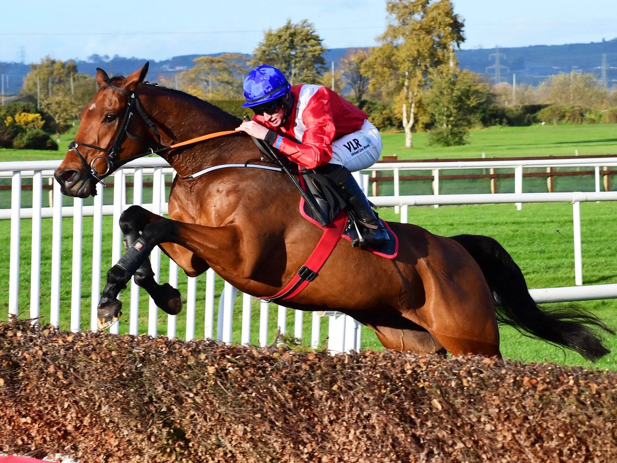 Probably the saddest news in racing for a while. 😞

A horse having his last ever run, after an absolutely incredible career, passes away. 

A real heartbreaker. Thoughts are with connections, especially the groom who has looked after him for many years. 💔

So sorry Envoi Allen.