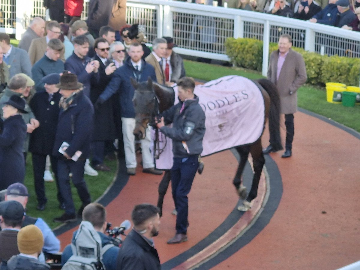 SportsNewsIRELAND tweet media