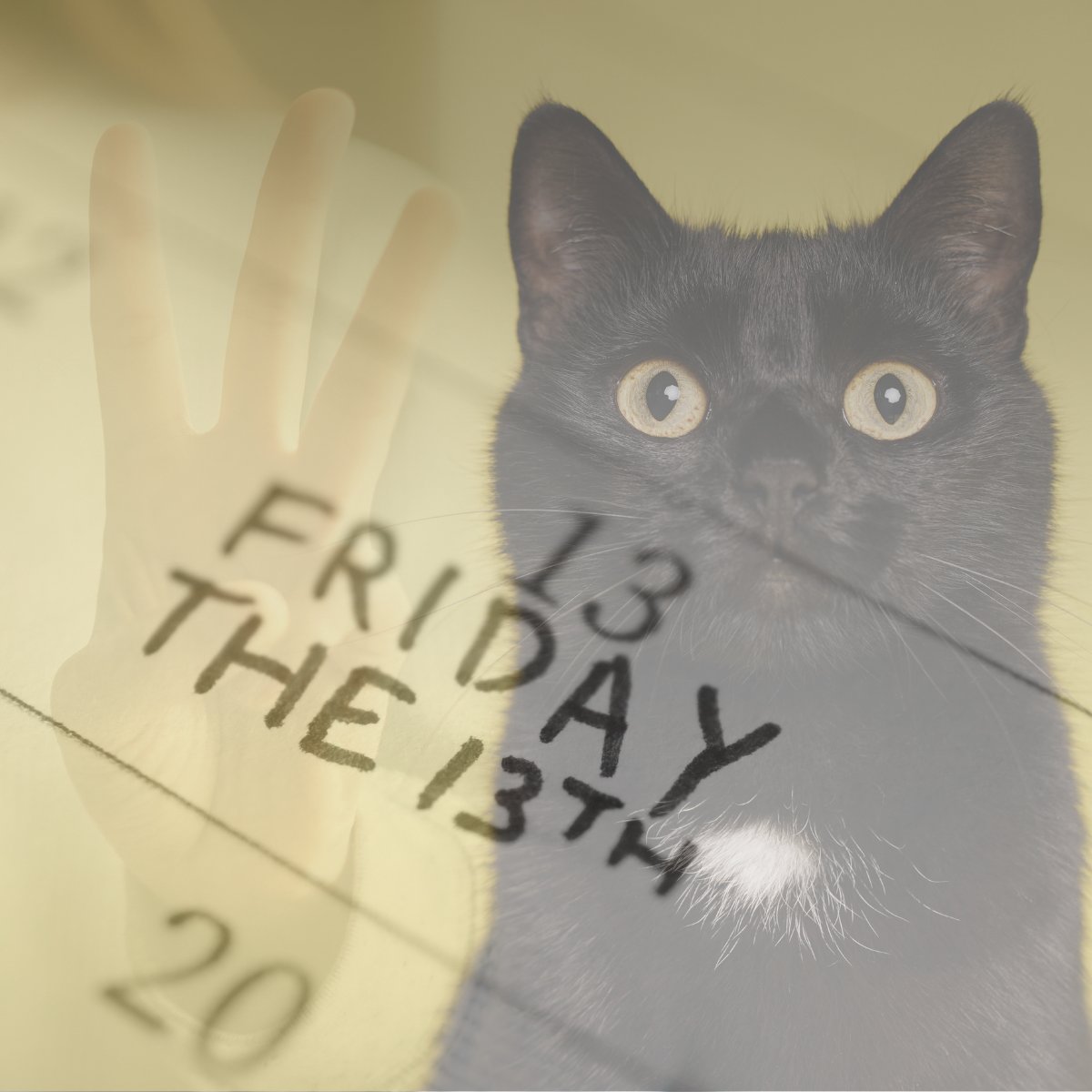 Association of Home Care Coding & Compliance tweet media