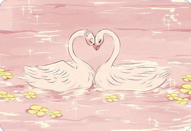 softly magical°🦢♡ tweet media