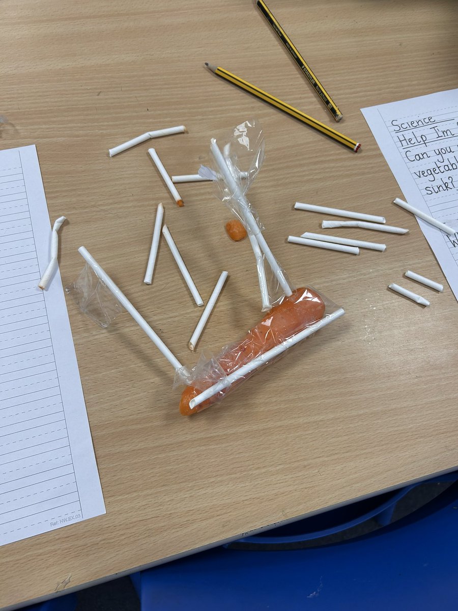 HellingtonBoots's tweet image. What did you do at work today? 🤔 

We made carrots float! 🥕 
Save the Carrots! 🛟
👩‍🏫 
#BritishScienceWeek 🧪🧬 👩‍🔬