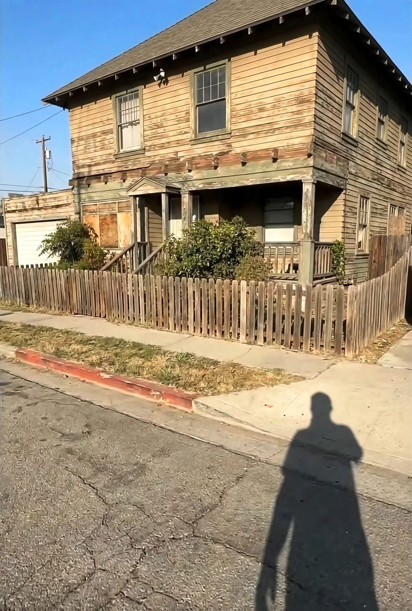 WefeOfficial 🍥 tweet media