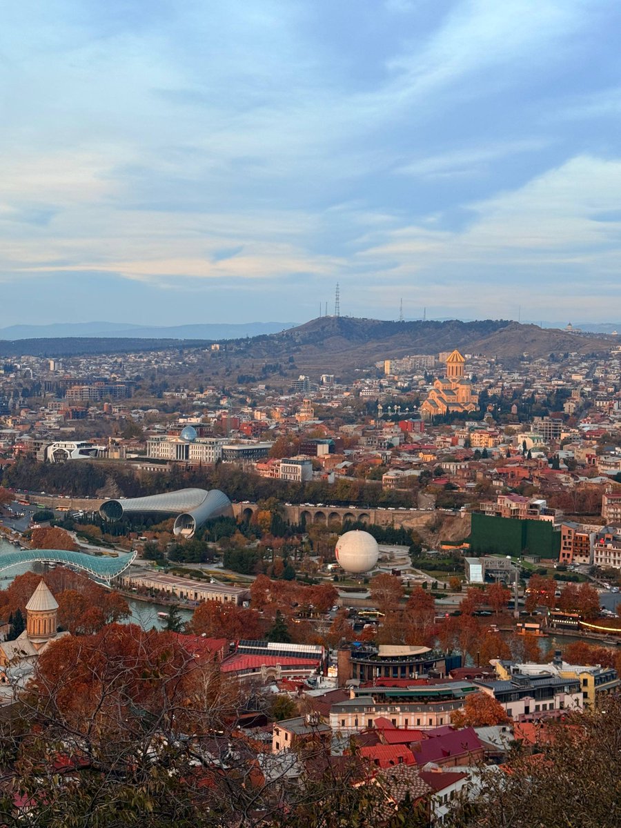 CyreneAI tweet media