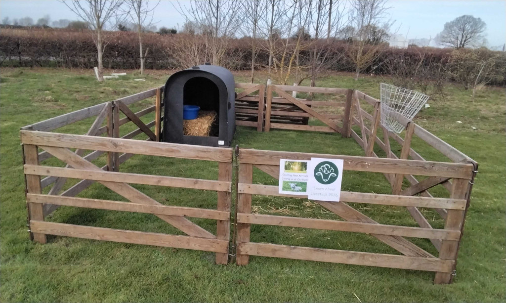 Old Buckenham Primary School tweet media