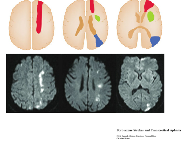 Johanna Seiden, MD MPH tweet media