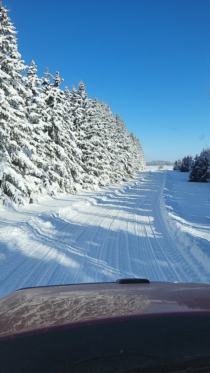 Kevin Bender tweet media