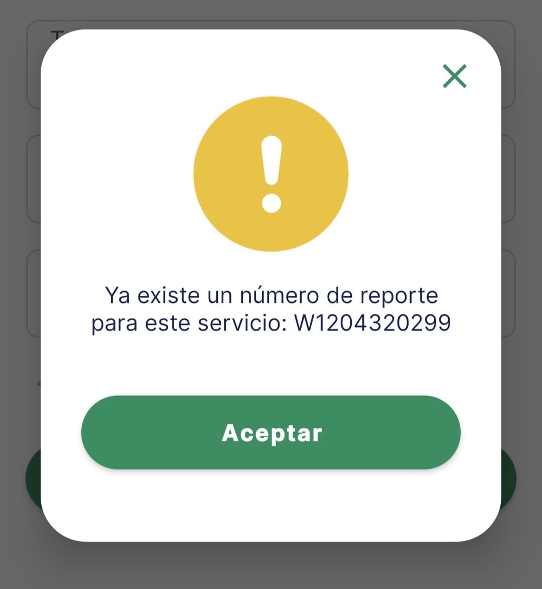 Beach Reads by InPuertoMorelos.com tweet media