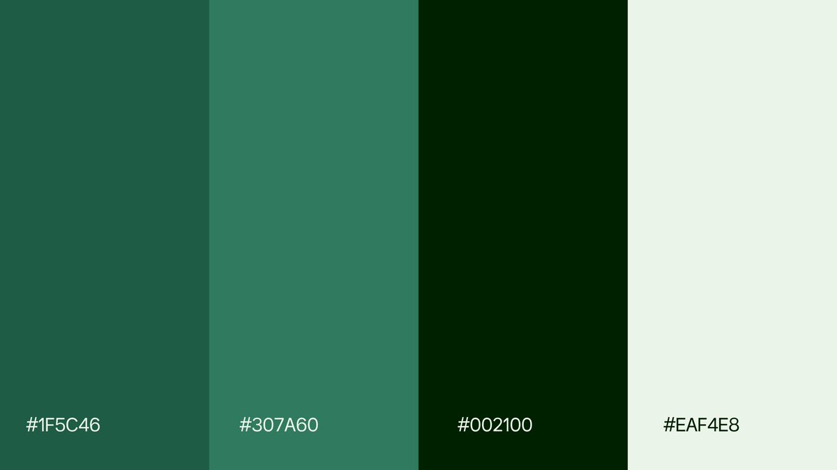 Ahmed Rumon - Logo & Brand Designer tweet media