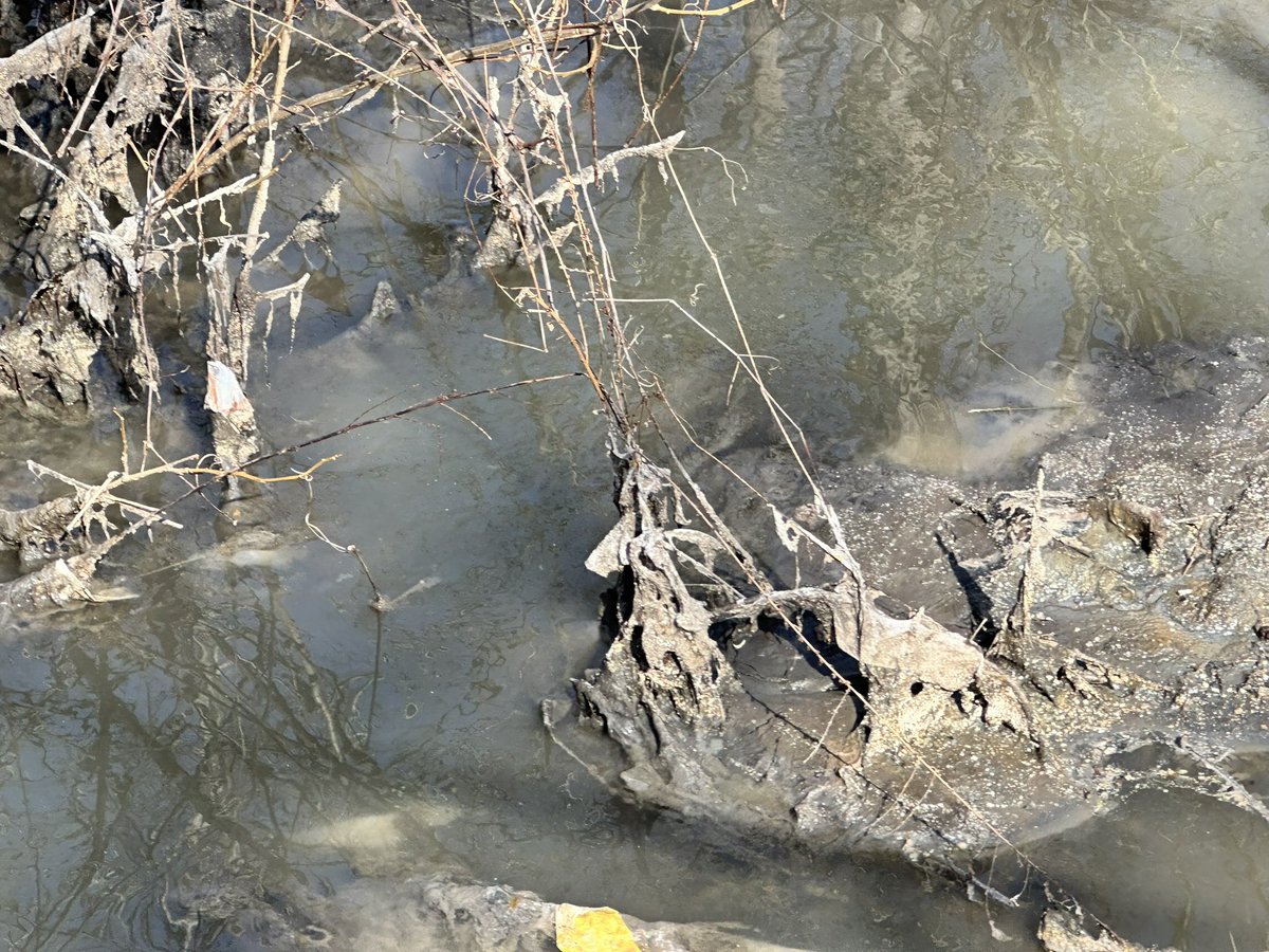 Mark Segraves tweet media