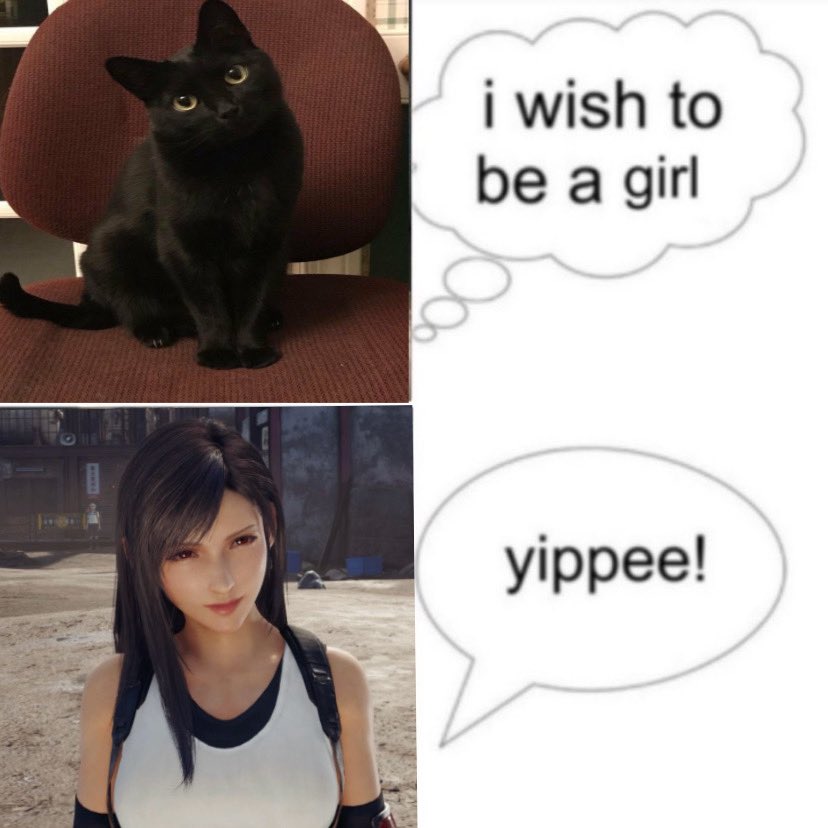 𐔌 .Sienna⋆𐙚 ̊!! tweet media