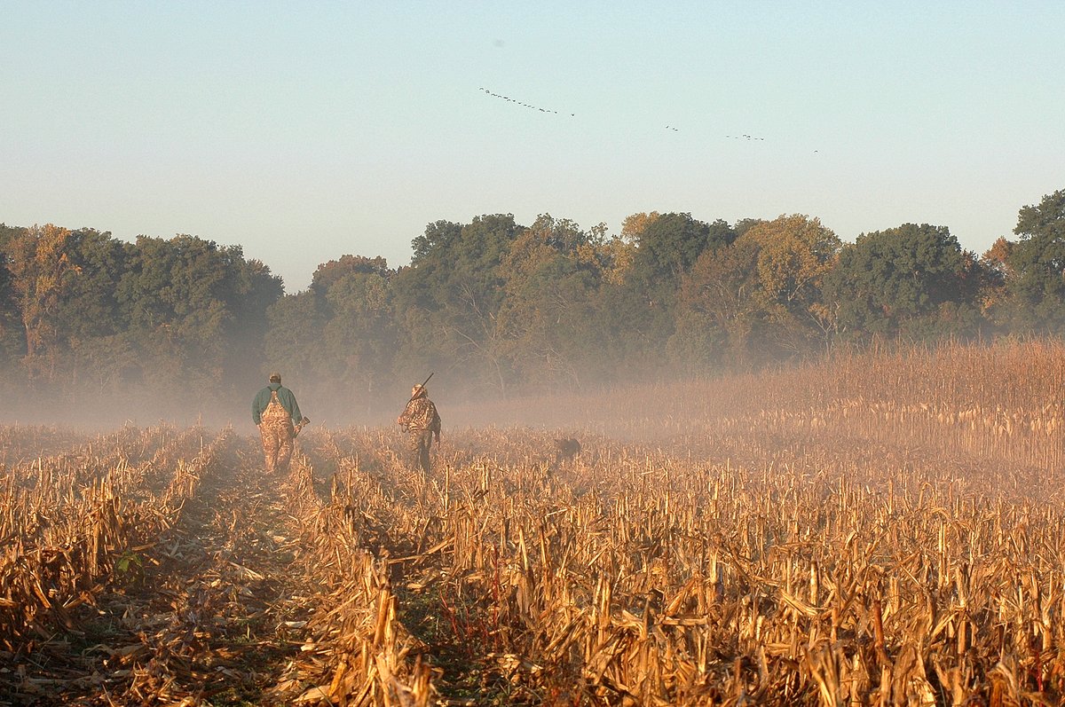 Maryland State Parks tweet media