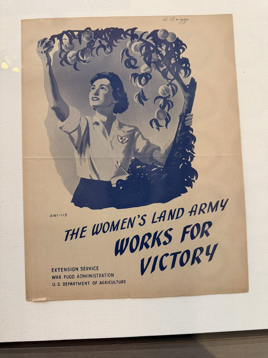 Josiah Lippincott tweet media