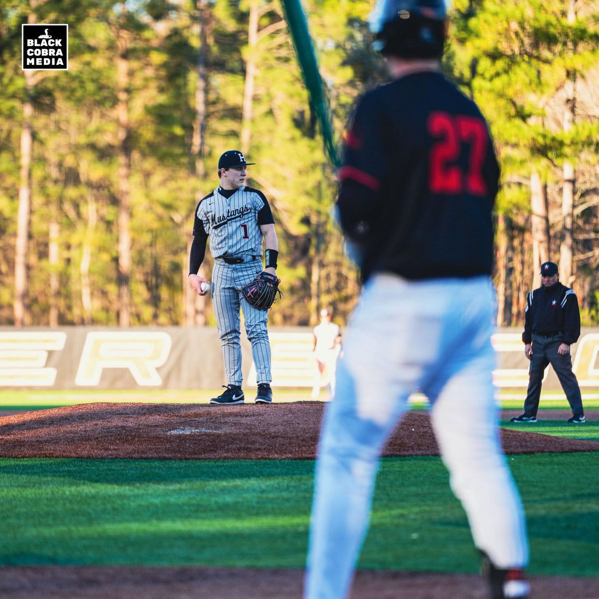 BLACK COBRA MEDIA tweet media