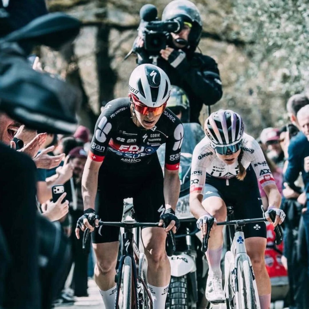 GRAVITY MEDIA tweet media