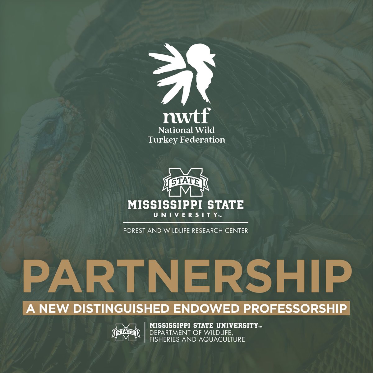 MSU Wildlife, Fisheries, and Aquaculture tweet media